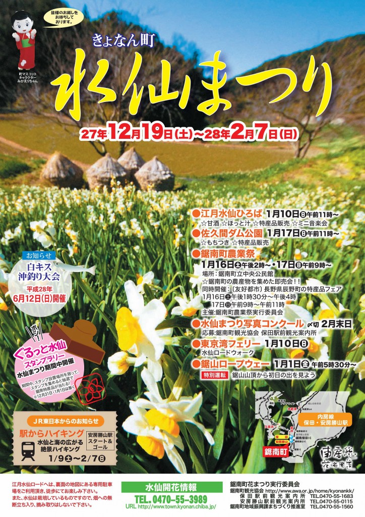 千葉県 鋸南町産 日本水仙 100本入り 袴付きです 切り花 backend=imagemagick;version=1;