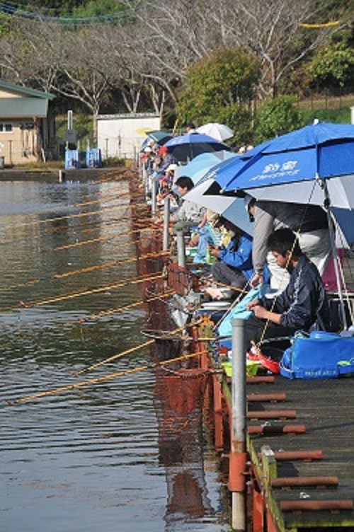 春のヘラブナ釣り大会 Love Chiba